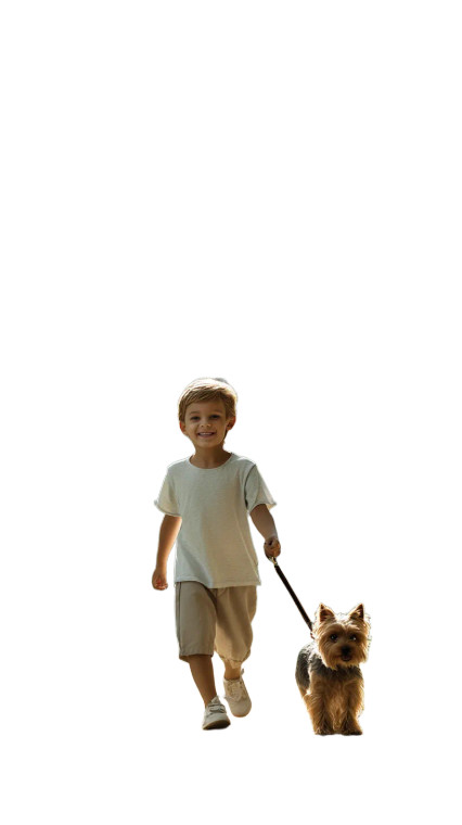 Joyful Boy And Dog Vinyl Car Decal Sticker – Waterproof & UV-Resistant 8"