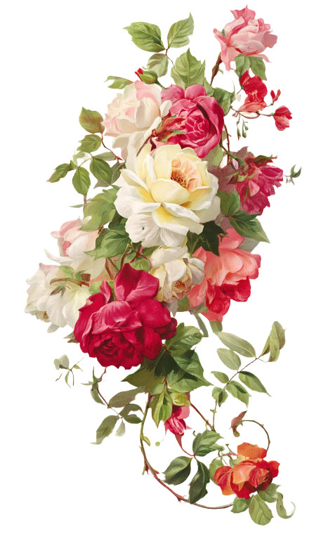 Colorful Rose Illustration Vinyl Car Decal Sticker – Waterproof & UV-Resistant 8"