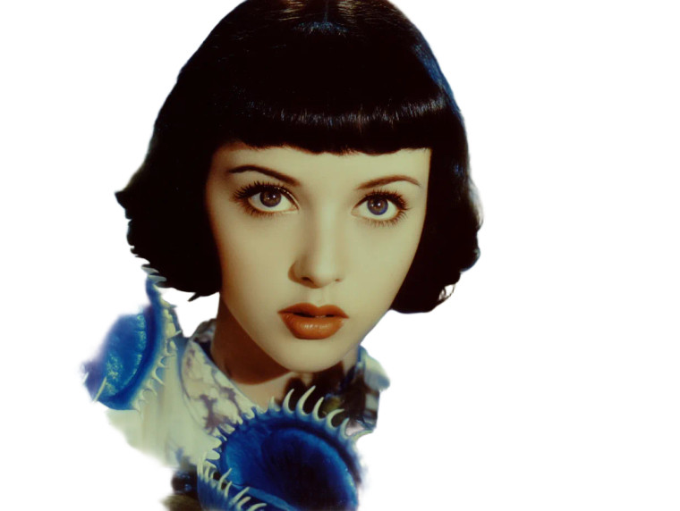 1930S Eyebrows Carnivorous Flowers Vinyl Car Decal Sticker – Waterproof & UV-Resistant 8"