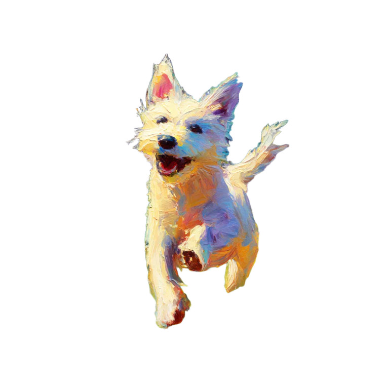 Playful Dog In Park Vinyl Car Decal Sticker – Waterproof & UV-Resistant 8"