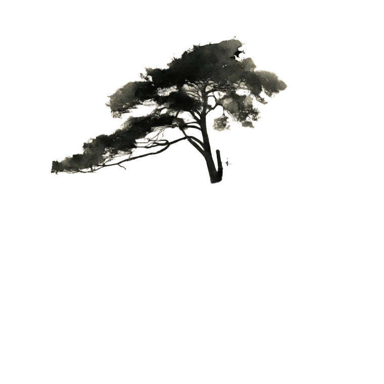 Lone Tree Lake Vinyl Car Decal Sticker – Waterproof & UV-Resistant 8"