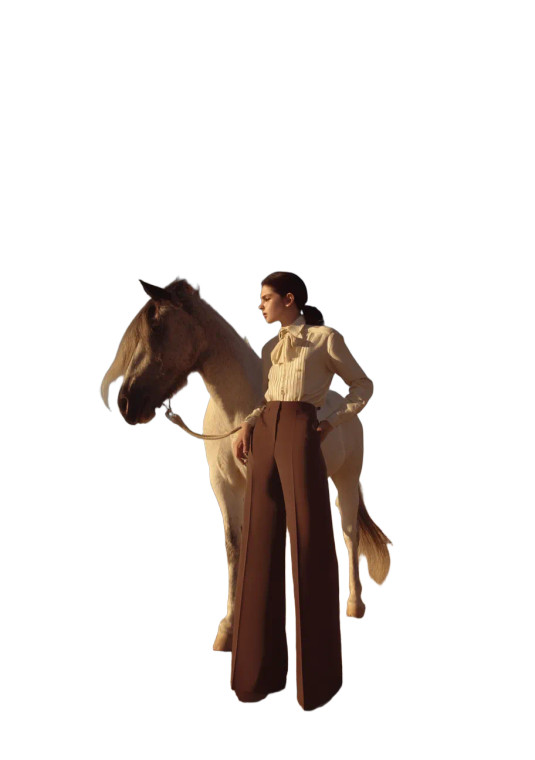 Androgynous Model With Horse V2 Vinyl Car Decal Sticker – Waterproof & UV-Resistant 8"