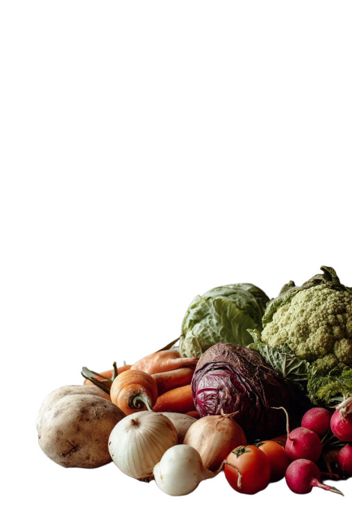 Vegetables On Table Vinyl Car Decal Sticker – Waterproof & UV-Resistant 8"