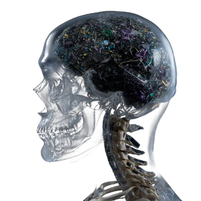 Microplastic Brain Xray Vinyl Car Decal Sticker – Waterproof & UV-Resistant 8"