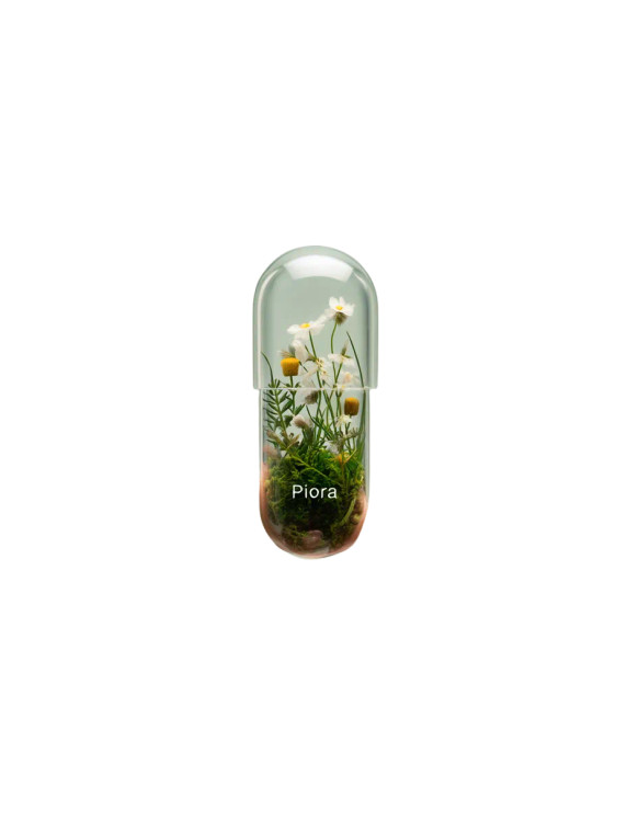 Piora Capsule Vinyl Car Decal Sticker – Waterproof & UV-Resistant 8"