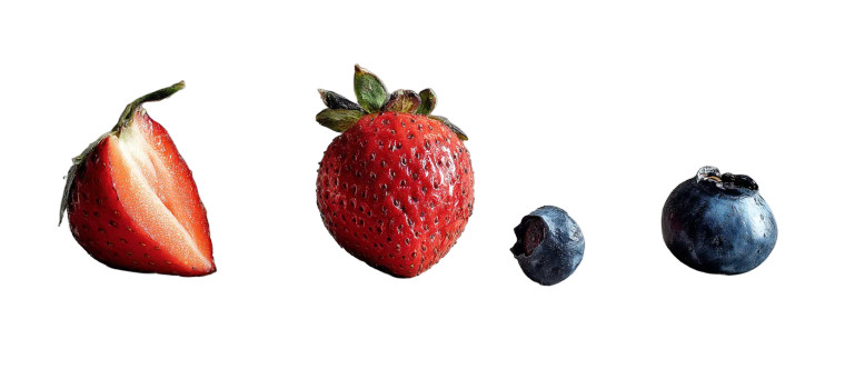 Fruits On Canvas Vinyl Car Decal Sticker – Waterproof & UV-Resistant 8"