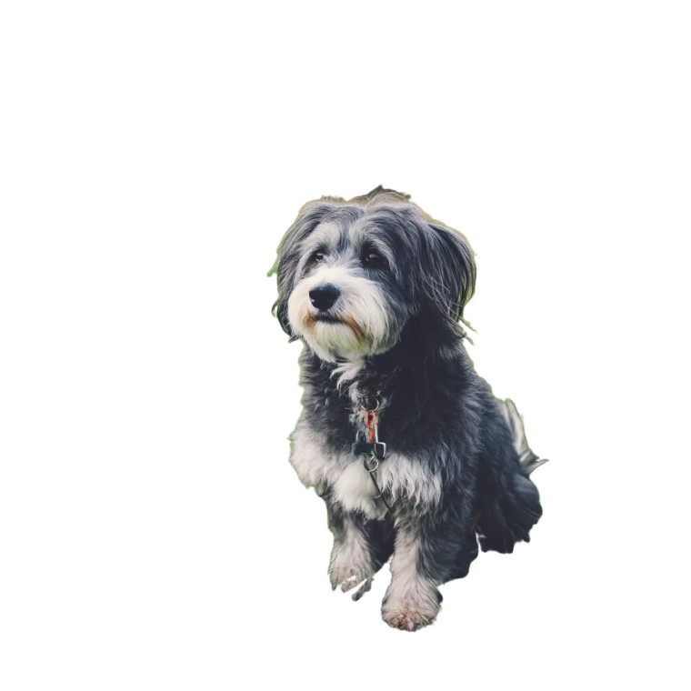 Dog In Park V2 Vinyl Car Decal Sticker – Waterproof & UV-Resistant 8"