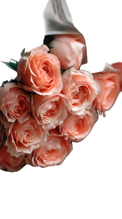 Peach Roses Bouquet Vinyl Car Decal Sticker – Waterproof & UV-Resistant 8"