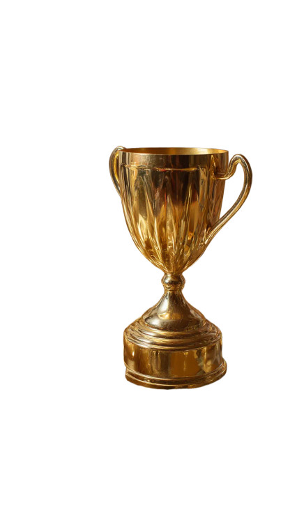 Golden Trophy Display Vinyl Car Decal Sticker – Waterproof & UV-Resistant 8"