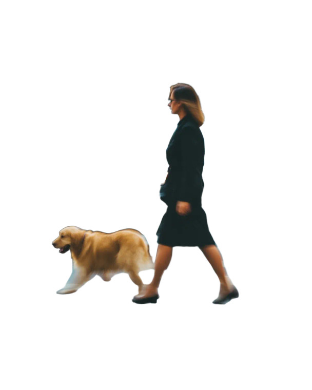 Urban Elegance Walk Vinyl Car Decal Sticker – Waterproof & UV-Resistant 8"