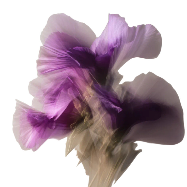 Purple Abstract Flowers Vinyl Car Decal Sticker – Waterproof & UV-Resistant 8"