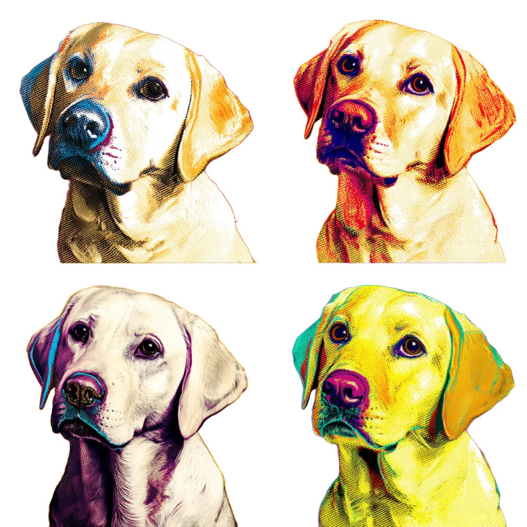 Warhol Labrador Portraits Vinyl Car Decal Sticker – Waterproof & UV-Resistant 8"