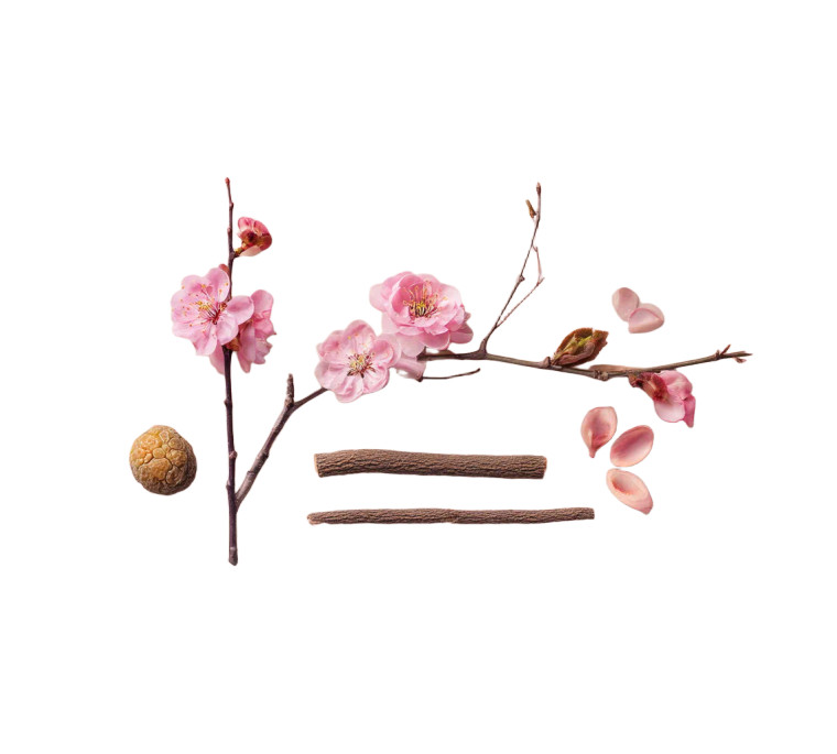 Minimalist Botanical Composition Vinyl Car Decal Sticker – Waterproof & UV-Resistant 8"