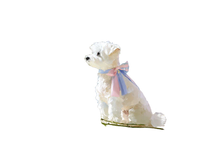 Maltese Dog With Roses Vinyl Car Decal Sticker – Waterproof & UV-Resistant 8"