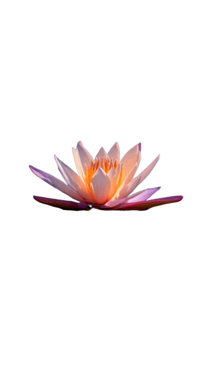 Lotus At Dusk Vinyl Car Decal Sticker – Waterproof & UV-Resistant 8"