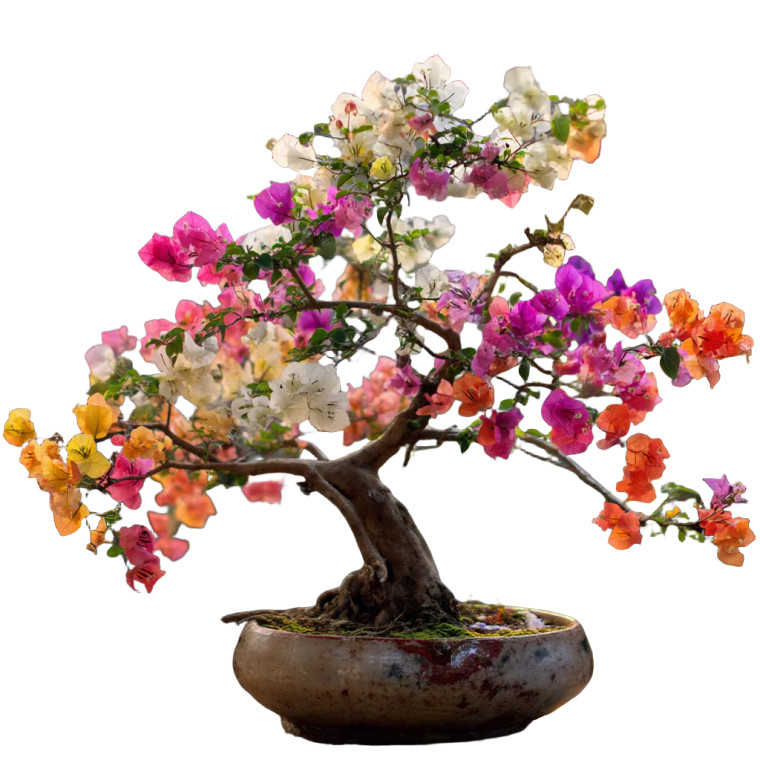 Colorful Bonsai Bougainvillea Vinyl Car Decal Sticker – Waterproof & UV-Resistant 8"