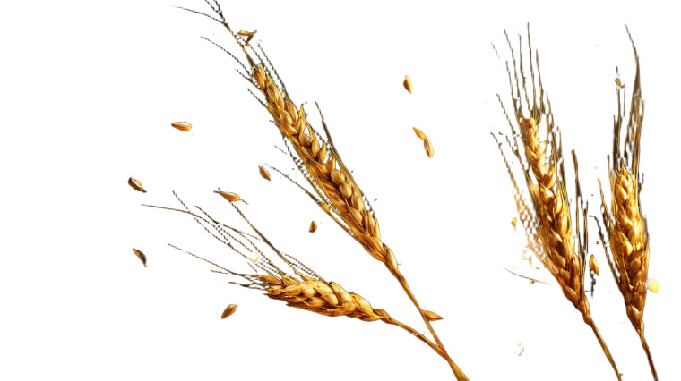 Golden Wheat Harvest Vinyl Car Decal Sticker – Waterproof & UV-Resistant 8"