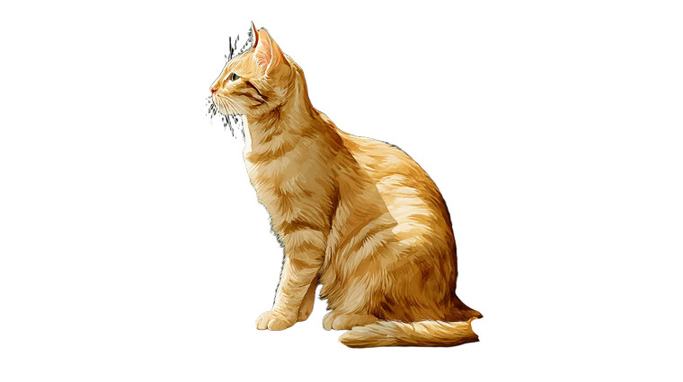 Orange Tabby Cat V3 Vinyl Car Decal Sticker – Waterproof & UV-Resistant 8"