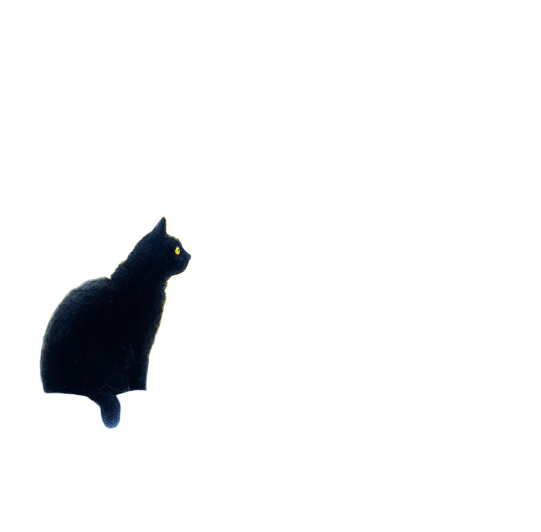 Black Cat And Skeleton Vinyl Car Decal Sticker – Waterproof & UV-Resistant 8"
