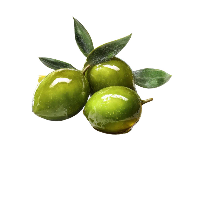 Green Olives Display Vinyl Car Decal Sticker – Waterproof & UV-Resistant 8"