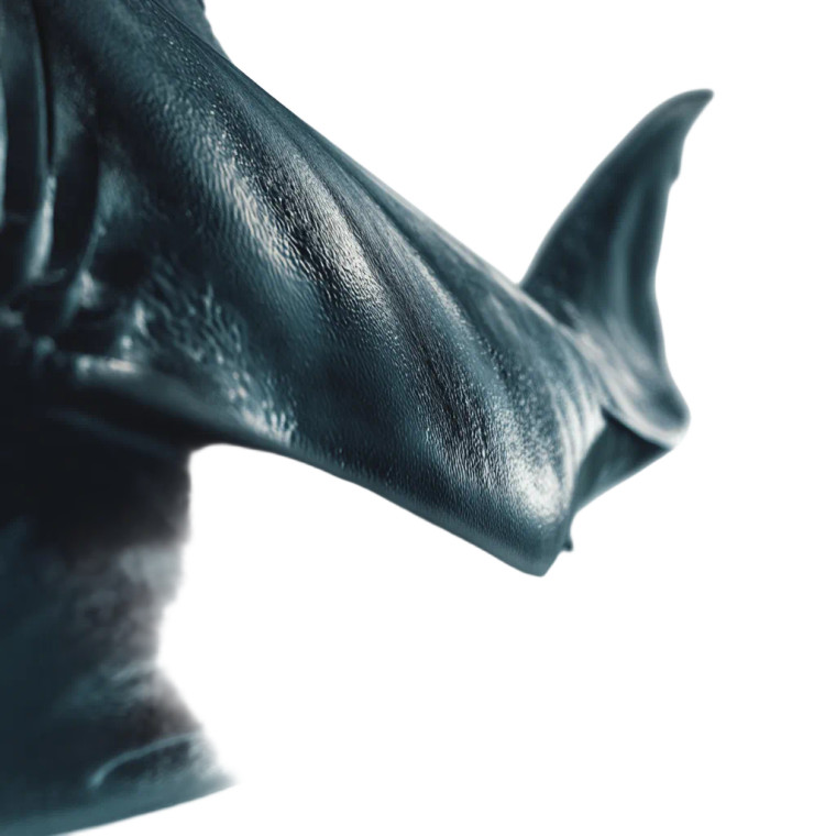 Shark Gills Close-Up Vinyl Car Decal Sticker – Waterproof & UV-Resistant 8"