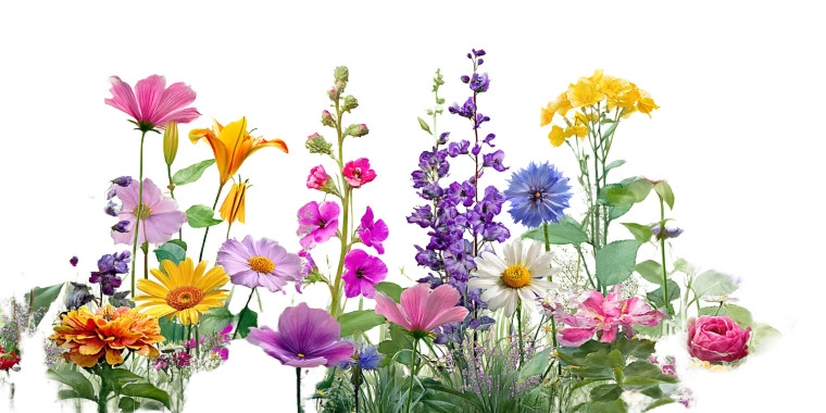 Colorful Wildflowers Garden Vinyl Car Decal Sticker – Waterproof & UV-Resistant 8"