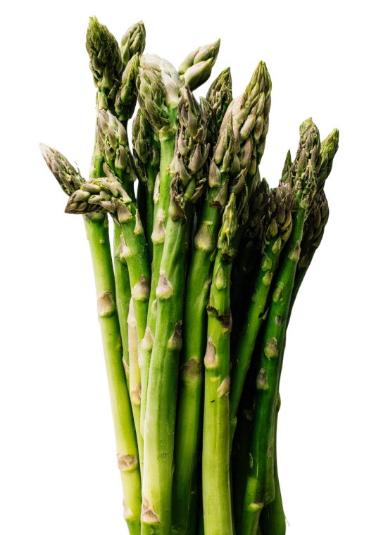 Fresh Asparagus Vinyl Car Decal Sticker – Waterproof & UV-Resistant 8"
