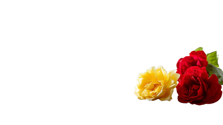 Wooden Table Roses Vinyl Car Decal Sticker – Waterproof & UV-Resistant 8"