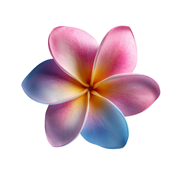 Plumeria Flower Vinyl Car Decal Sticker – Waterproof & UV-Resistant 8"