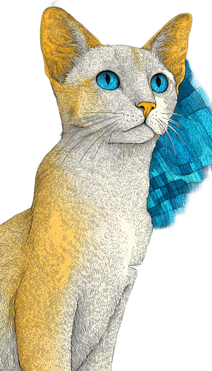 Javanese Beach Cat Vinyl Car Decal Sticker – Waterproof & UV-Resistant 8"