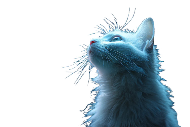 Space Cat V11 Vinyl Car Decal Sticker – Waterproof & UV-Resistant 8"