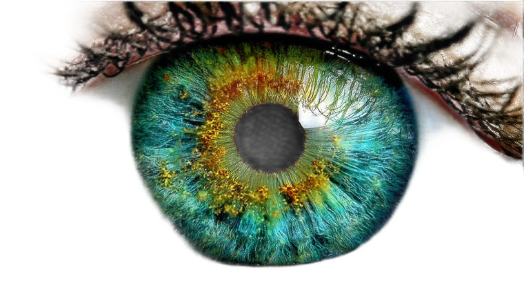 Vibrant Eye Close-Up V2 Vinyl Car Decal Sticker – Waterproof & UV-Resistant 8"
