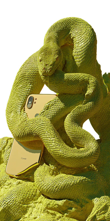 Golden Iphone Serpent Vinyl Car Decal Sticker – Waterproof & UV-Resistant 8"