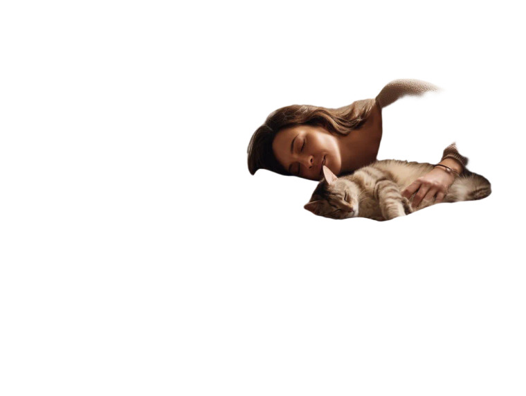 Peaceful Sleep Scene Vinyl Car Decal Sticker – Waterproof & UV-Resistant 8"