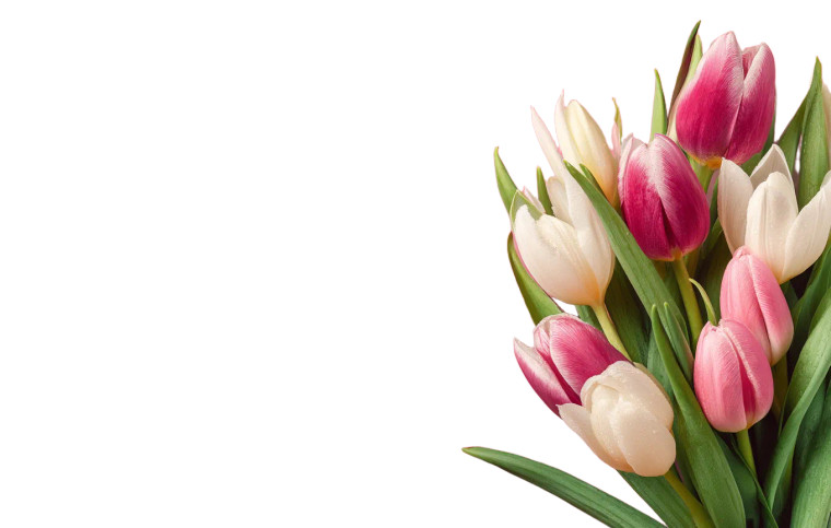 Tulip Bouquet Banner Vinyl Car Decal Sticker – Waterproof & UV-Resistant 8"