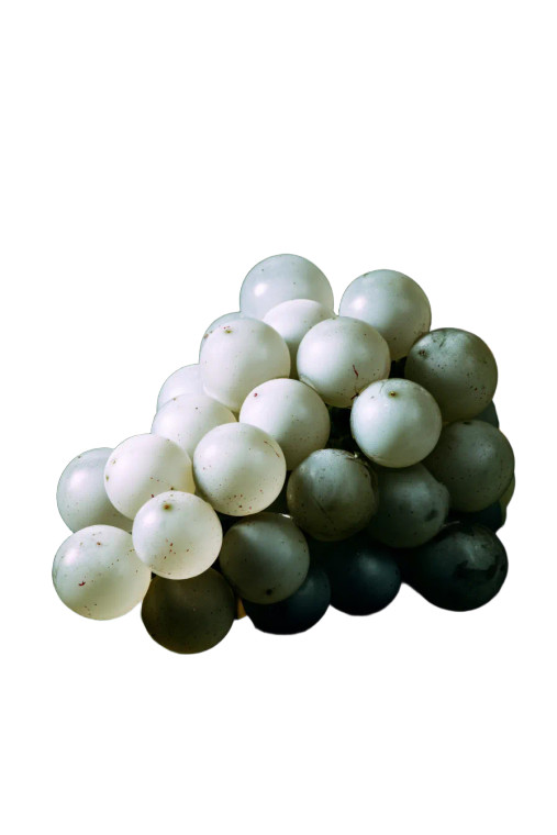 Pearly White Grapes Vinyl Car Decal Sticker – Waterproof & UV-Resistant 8"