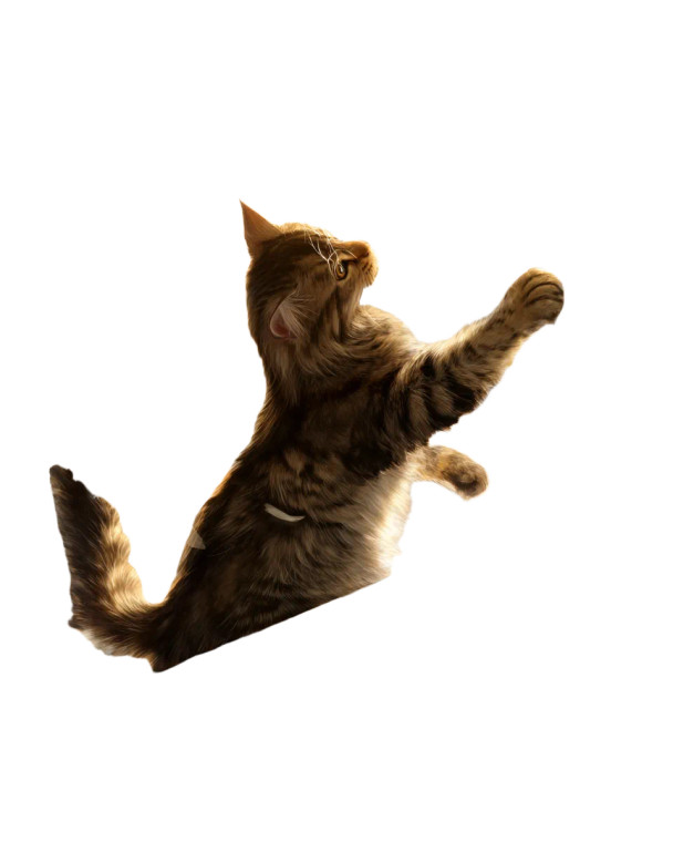 Cat On Windowsill Vinyl Car Decal Sticker – Waterproof & UV-Resistant 8"