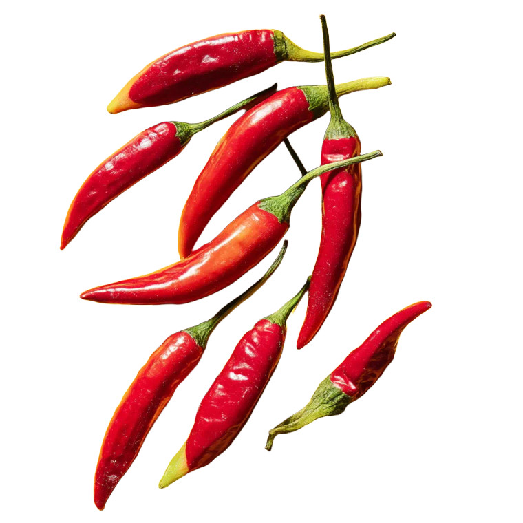 Spicy Chili Peppers Vinyl Car Decal Sticker – Waterproof & UV-Resistant 8"