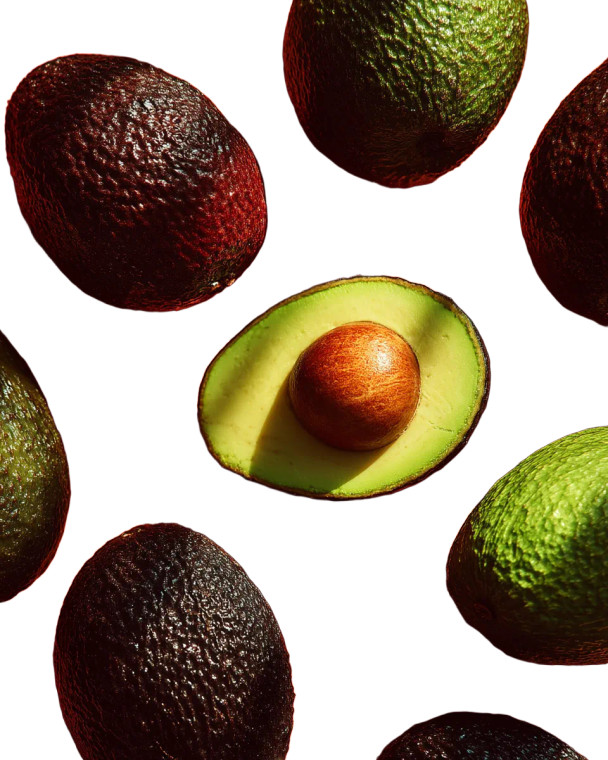 Avocado Composition Vinyl Car Decal Sticker – Waterproof & UV-Resistant 8"
