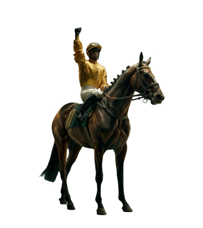 Majestic Race Horse Vinyl Car Decal Sticker – Waterproof & UV-Resistant 8"