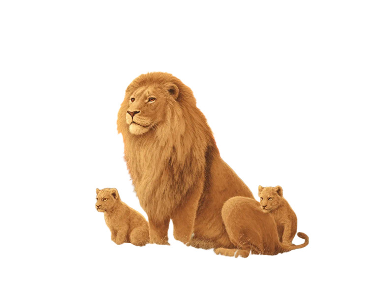 Proud Lion Family Vinyl Car Decal Sticker – Waterproof & UV-Resistant 8"