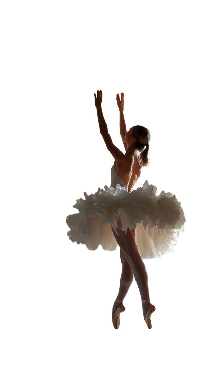 Ballerina In Peonies Vinyl Car Decal Sticker – Waterproof & UV-Resistant 8"