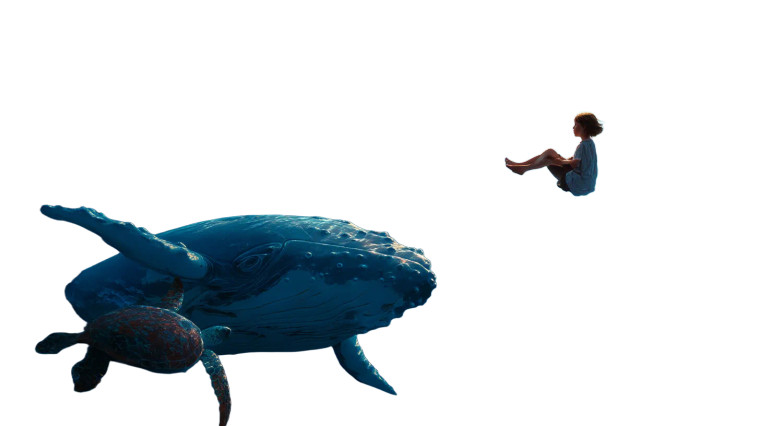 Dreamy Ocean Child Vinyl Car Decal Sticker – Waterproof & UV-Resistant 8"