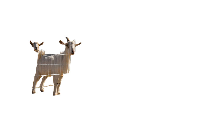 Goats And Fence Vinyl Car Decal Sticker – Waterproof & UV-Resistant 8"