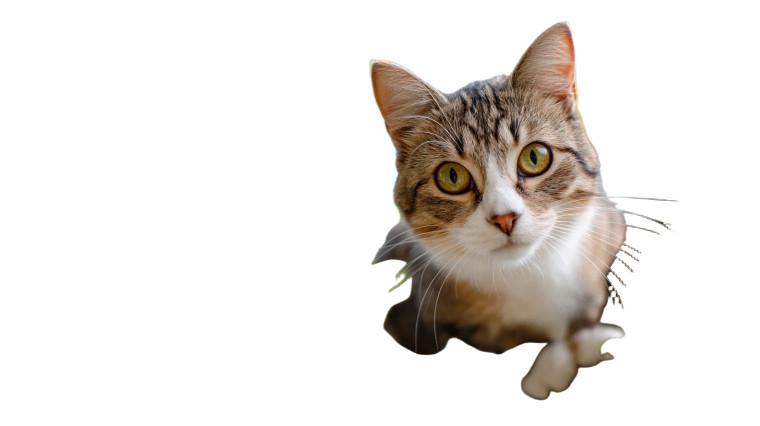 Cat On Tree Vinyl Car Decal Sticker – Waterproof & UV-Resistant 8"