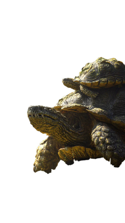 Golden Turtle Gathering Vinyl Car Decal Sticker – Waterproof & UV-Resistant 8"