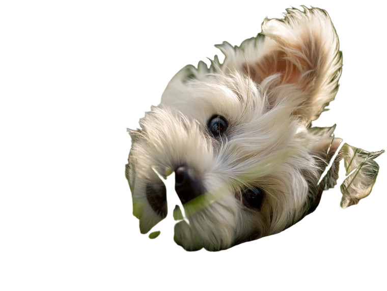 Little White Dog Vinyl Car Decal Sticker – Waterproof & UV-Resistant 8"