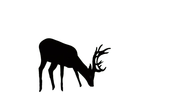 Forest Deer Scene Vinyl Car Decal Sticker – Waterproof & UV-Resistant 8"