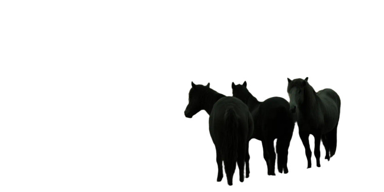 Horses Overlooking Stockholm Vinyl Car Decal Sticker – Waterproof & UV-Resistant 8"