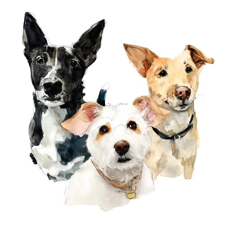 Cute Dogs Vinyl Car Decal Sticker – Waterproof & UV-Resistant 8"